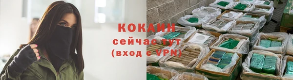 2c-b Вяземский