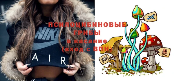 альфа пвп Горнозаводск