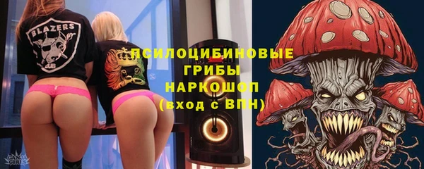 2c-b Вяземский
