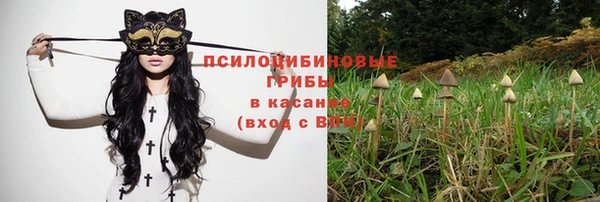 2c-b Вяземский