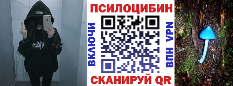 Псилоцибиновые грибы Psilocybine cubensis  цены   Люберцы 
